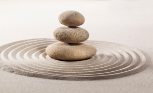 natural balance with zen contemplation